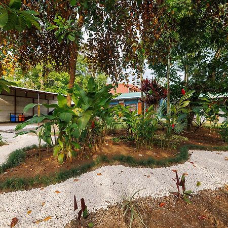 Rio Celeste Dreams Bijagua de Upala Exterior foto
