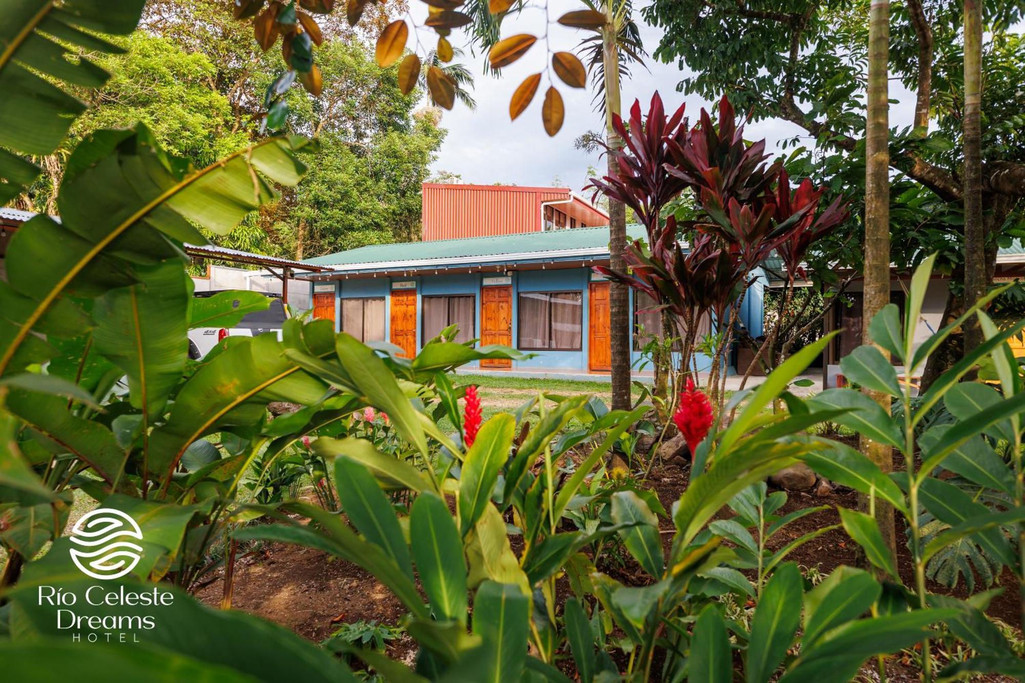 Rio Celeste Dreams Bijagua de Upala Exterior foto